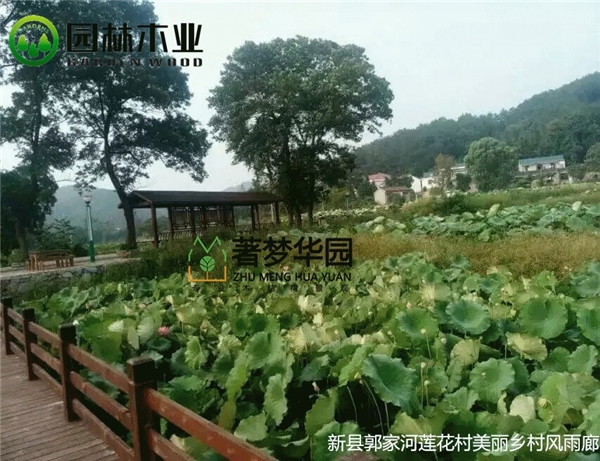 郑州青青视频污黄色在线观看风雨廊